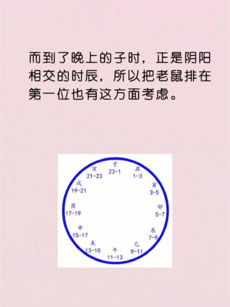怎么查生肖月份属相（怎么查生肖月份的属相表🐭）