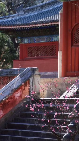 生肖羊属相手链（生肖羊属相手链编织教程）