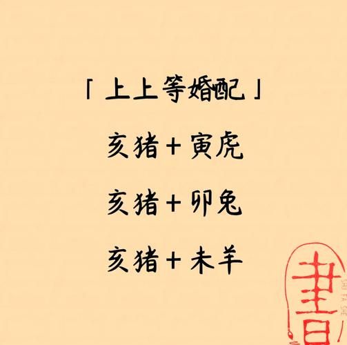 生肖猪适合找什么属相（属猪最佳婚配属相有哪些）