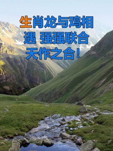 龙鸡什么生肖属相（龙鸡什么生肖属相？）