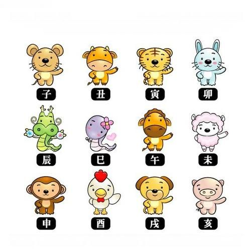 2017年属相什么生肖（2017年属什么生肖？新手一查就懂！）