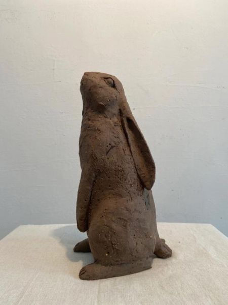 蟾宫属什么生肖属相（蟾宫代表哪一个生肖？新手指南）