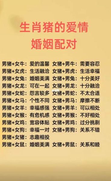 生肖属相猪婚姻配对（属猪婚姻配对最佳属相是谁）
