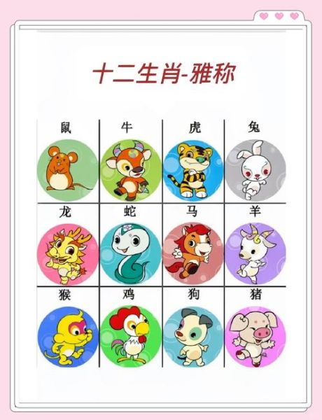 属相生肖解读图（十二生肖解读图怎么看）