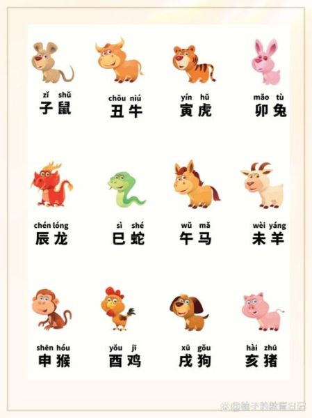 生肖和属相是什么（生肖和属相是什么 🐭🐮）