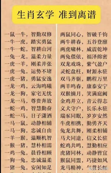 生肖属相玄学视频（生肖属相玄学视频教学怎么看懂）