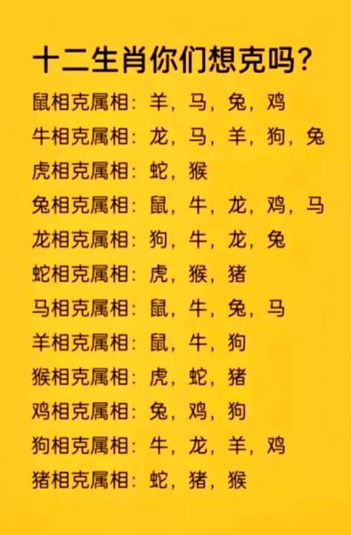 生肖属相不配（鼠马相冲怎么破解最靠谱）