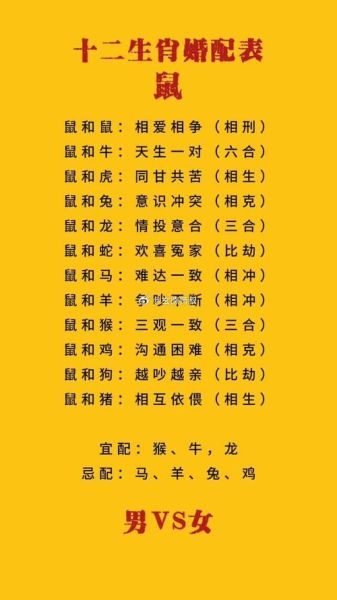 生肖鼠最佳属相配对（生肖鼠最佳婚配是什么属相）