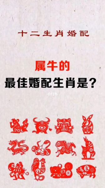 牛属相相配的生肖（属牛最佳配对属相排行）