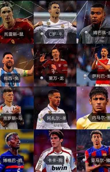 足球属相有哪些生肖