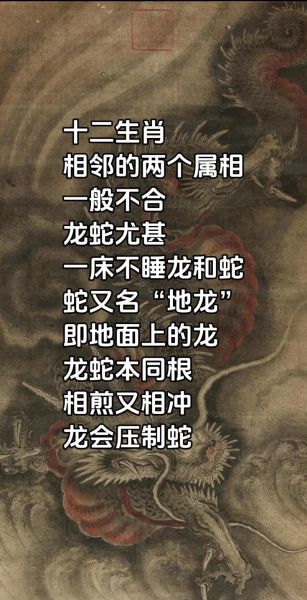 同属相不能在一起的生肖（同属相不能在一起的生肖是真的吗）