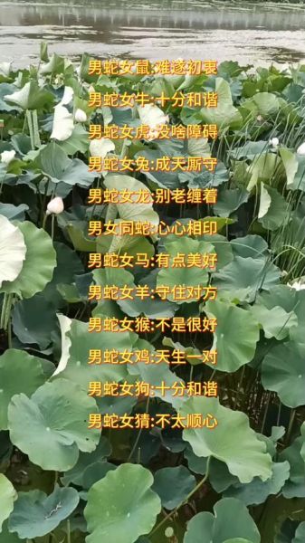 男蛇最佳婚姻生肖属相（男蛇最佳婚配的属相是哪几个）