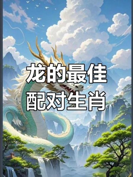 生肖龙适合什么属相（生肖龙和哪些属相最合适？新手一看就会！）