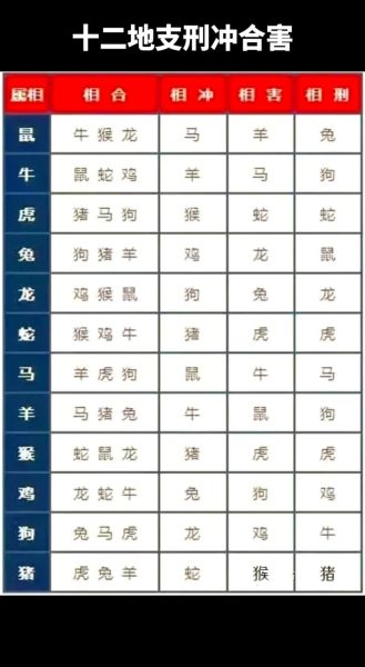 生肖属相相克相冲查询（十二生肖相克相冲表查询新手版⚡️）