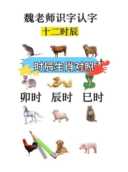 生肖出生时辰最佳属相（生肖出生时辰最佳属相配对表）