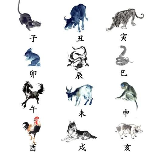 生肖原来有几个属相呢（生肖到底有多少个属相？一文秒懂）