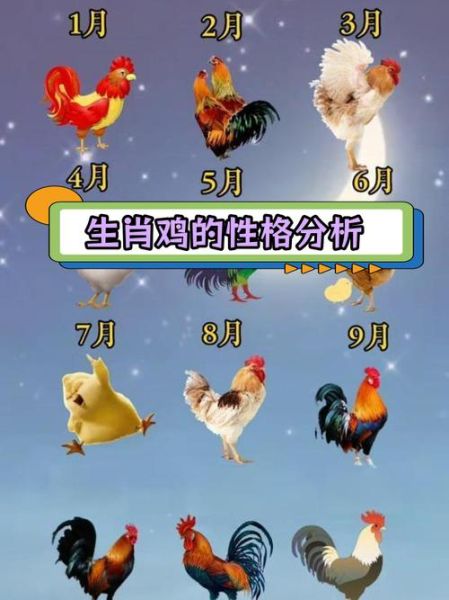 生肖属相鸡的年份（生肖鸡哪几年出生？看完这张图就懂）