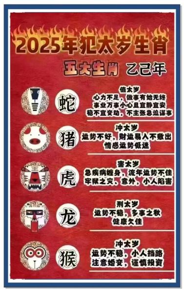 生肖龙和内个属相犯太岁（龙年犯太岁最严重的属相揭秘）