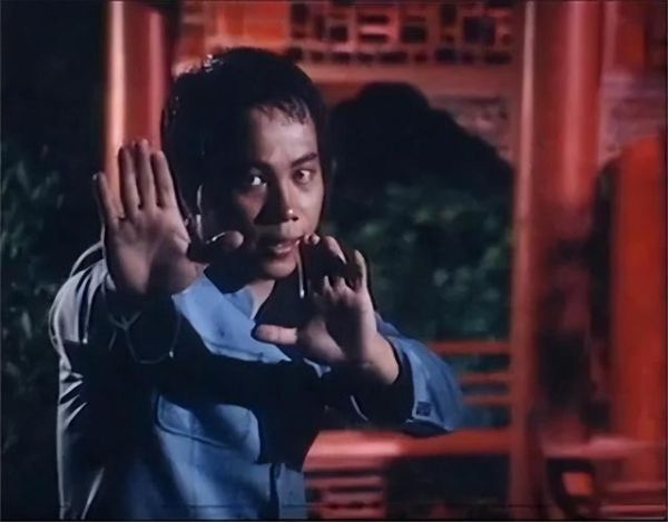 陈真属相什么生肖正（陈真生肖是属什么的）