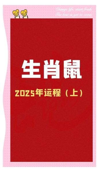 鼠年生肖属相运程（鼠年出生2025年运势大揭秘）