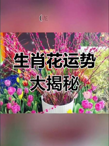 花与生肖属相搭配（生肖本命花怎么选最吉利）
