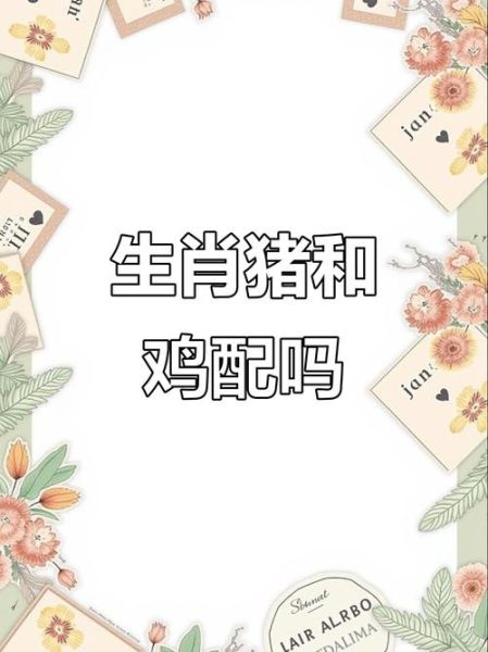 生肖猪和生肖鸡属相合吗（生肖猪和生肖鸡配吗）