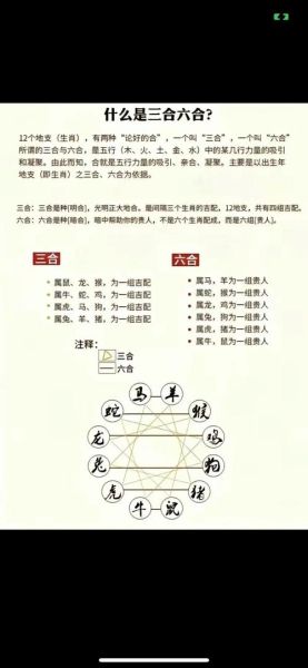 兔猴的生肖配对属相（兔猴的生肖配对真的相克吗？）