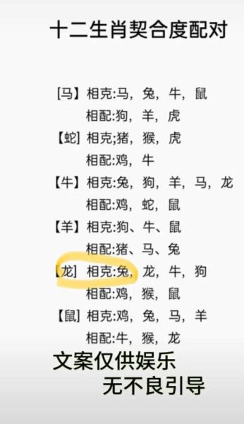 相差几岁不看生肖属相（相差几岁不看生肖属相的配对秘诀🐲）