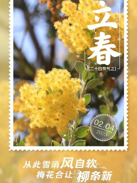 立春破太岁生肖属相（立春如何破太岁生肖兔？）