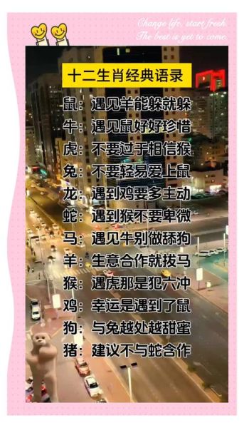 生肖属相段子（生肖属相段子从哪找？新手速存🔥）