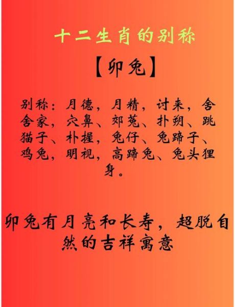 生肖龙属相兔合不合（生肖龙和兔合不合？新手避坑指南）