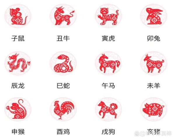 生肖蛇后边是啥属相（生肖蛇后面是啥属相）