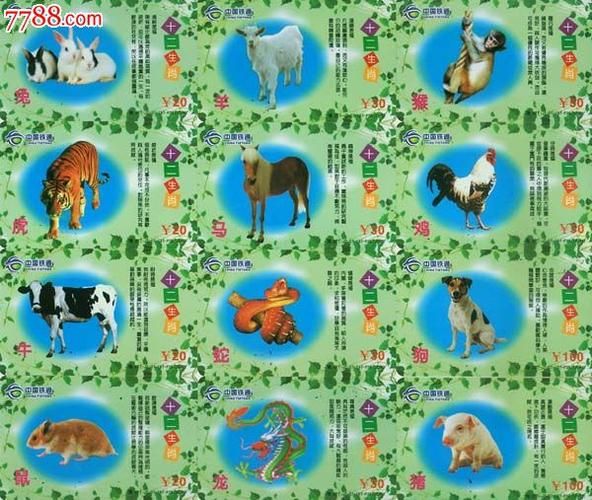 钱文忠说十二生肖属相（钱文忠十二生肖起源真相）