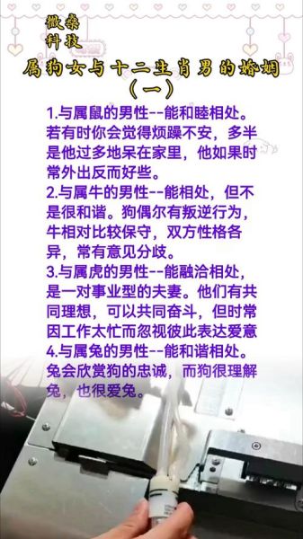 生肖狗的婚姻属相（生肖狗今年运势如何）