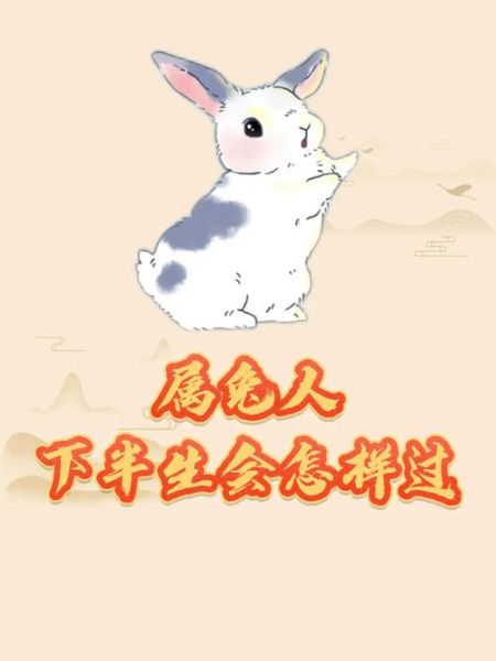 生肖兔残疾人属相（生肖兔残疾人属相会相冲吗）