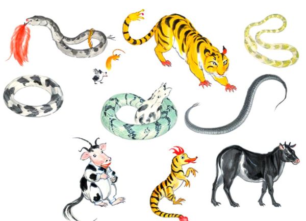 狂字属相是哪个生肖（狂字到底代表什么生肖）