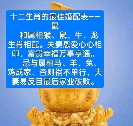 生肖鼠的配偶属相和属相（生肖鼠最配什么属相？）