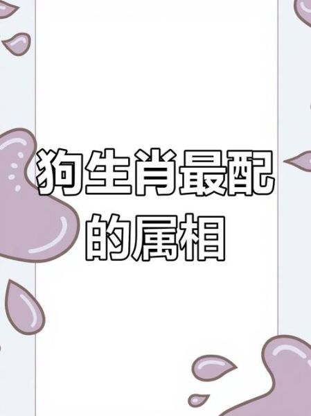生肖狗最配的属相（生肖狗最配的属相是什么）