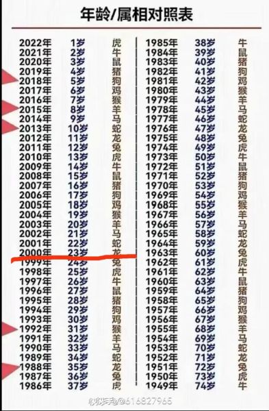 2000年属相生肖配对（2000属龙配什么生肖最好？速查💡）