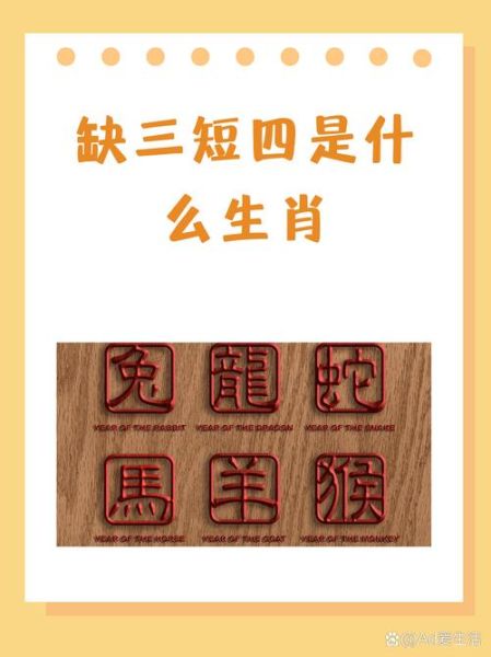 田雨属相是什么生肖