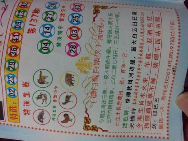 赵小雅属什么生肖属相