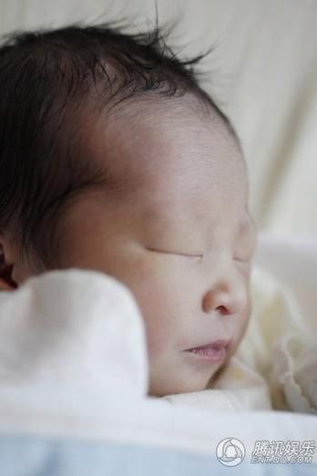 李家诚个人生肖属相（李家诚生肖是什么属相新手速查）