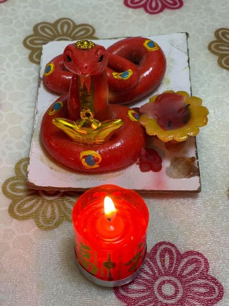 生肖属相灯庄河（庄河生肖灯会去哪看最省心？）