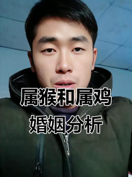 生肖猴和生肖鸡属相（猴鸡配婚到底合不合）