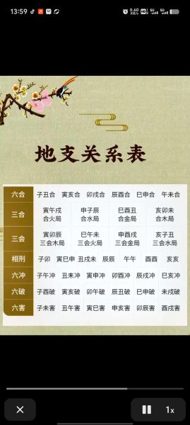 癸酉属于哪个生肖的属相（癸酉年生肖属什么）