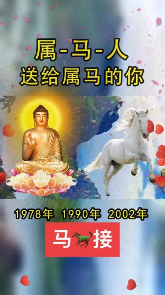 2002属什么生肖属相（2002年属马的到底是公马还是母马？）