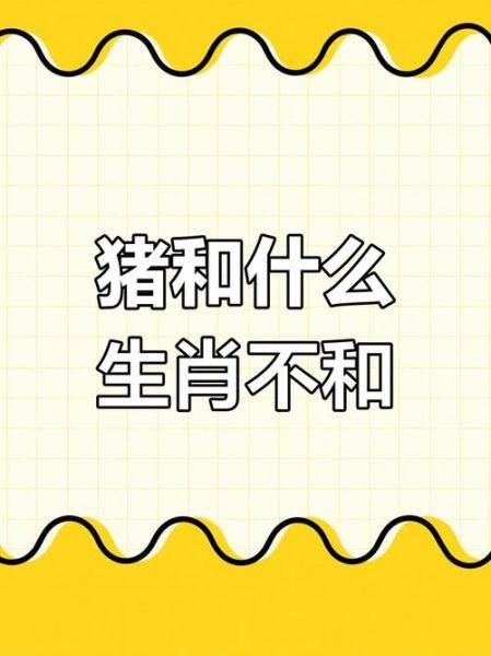 生肖猪和什么属相最差（属猪和什么属相不合最克 🙀）