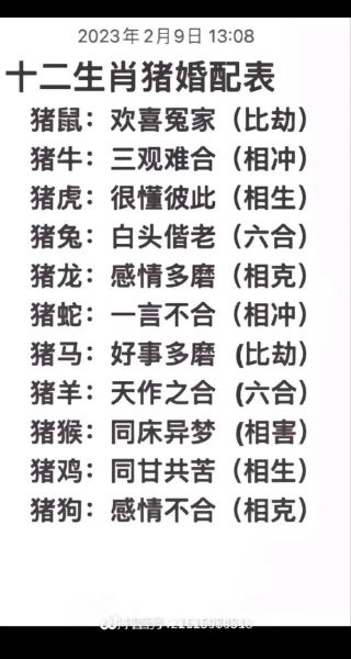 生肖猪和哪些属相不合呢（生肖猪和哪些属相不合？）