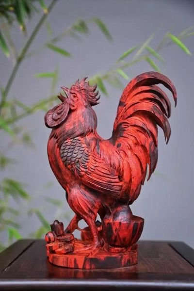 公鸡准确生肖属相（公鸡准确生肖属相是什么？小白一看就懂）