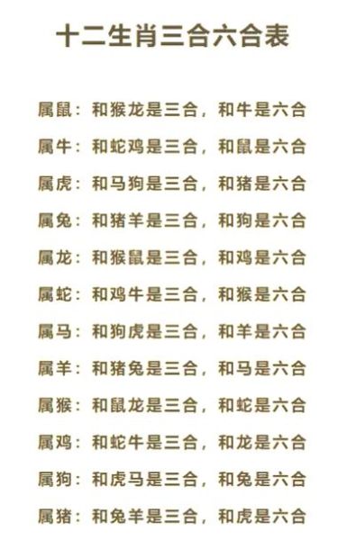 和老鼠合的属相十二生肖（和老鼠最合的三大属相）